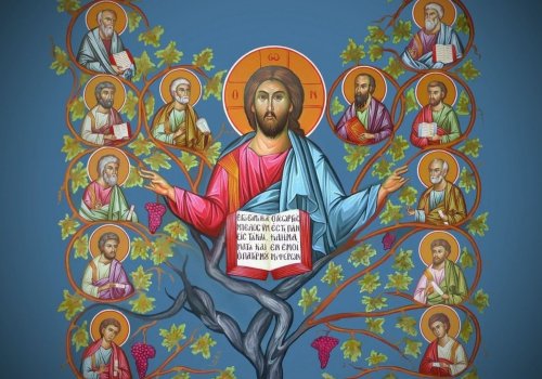 Mlădița care rămâne în Hristos