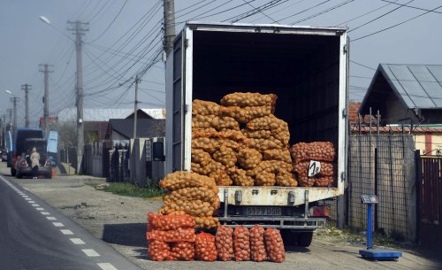 Platformă de vânzări online în Covasna