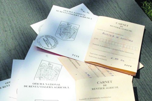 Vizarea anuală a carnetelor de rentier