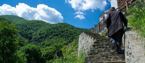 Pustnicul sfânt și ursul