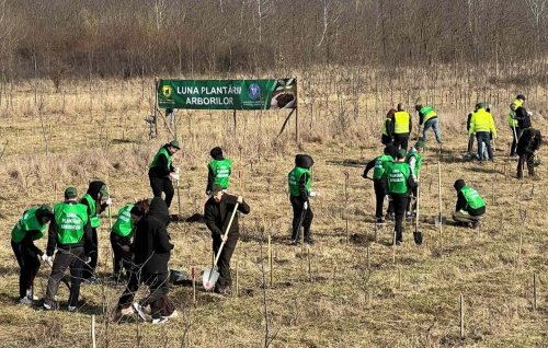 Acțiune comună de plantare la Prut