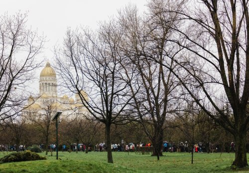 Marșul pentru ocrotirea vieții, în Capitală