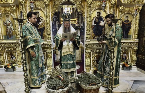 Ramuri binecuvântate pentru credincioşi la Miercurea Ciuc