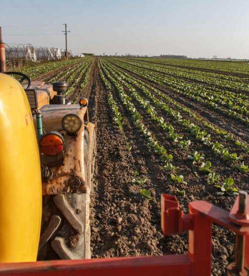 Aviz de la OCDE pentru sectorul agricol