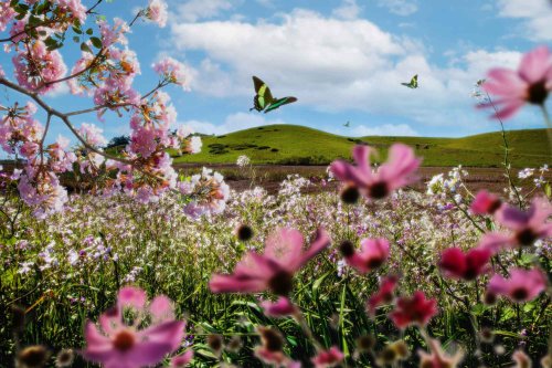 Natura, darul lui Dumnezeu pentru om