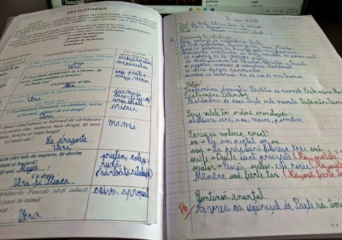 Platformă online pentru studierea limbii române