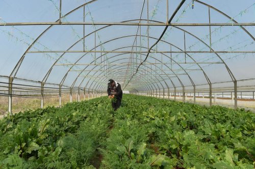 Cursuri de recalificare în agricultură