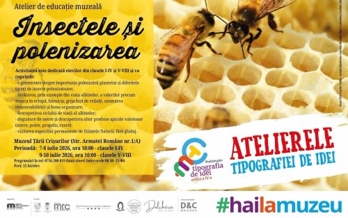Ateliere educative despre albine