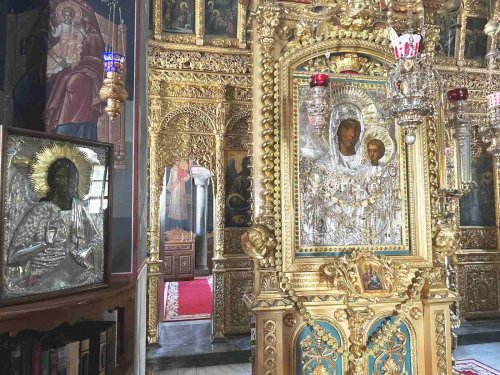 Cinstirea Sfintei Icoane a Maicii Domnului Prodromiţa de la Muntele Athos; Sf. Mc. Proclu şi Ilarie; Sf. Cuv. Mihail Maleinul; Sf. Veronica; Sf. Cuv. Paisie Aghioritul
