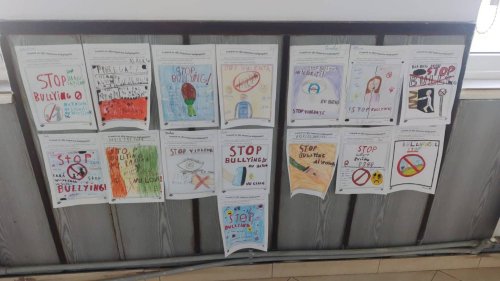 Proiect de combatere a violenței