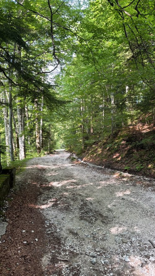 Pe drumuri de munte…