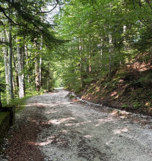 Pe drumuri de munte…