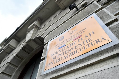 Reguli privind notificarea pagubelor