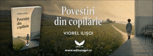 Amintiri din copilărie, varianta Viorel Ilișoi