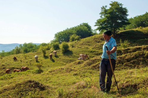Agricultura tradițională pusă în valoare pe Via Transilvanica
