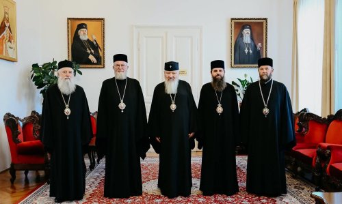 Şedinţă de lucru a Sinodului Mitropoliei Clujului, Maramureșului şi Sălajului