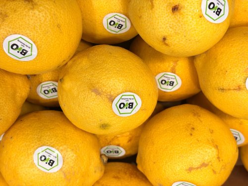 Revizuiri ale unor norme în sectorul bio