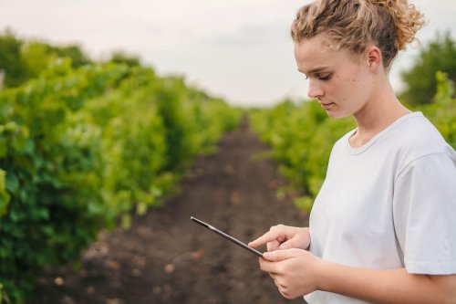 Agricultura ecologică, promovată în rândul tinerilor