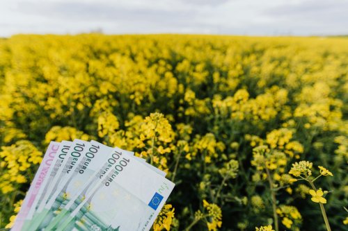 Fermierii cer ca bugetul PAC să fie adaptat realităţilor actuale