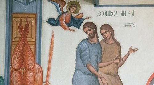 Romani 7, 1-13